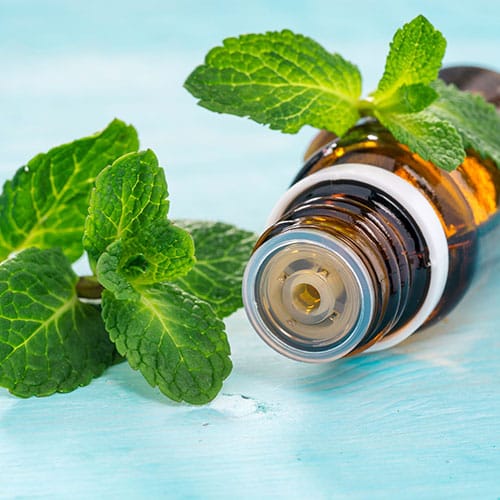Ein Tropffläschchen mit Pfefferminzöl liegt auf einem hellblauen Untergrund, daneben frische Minzeblätter.
